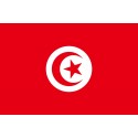 REPÚBLICA TUNECINA