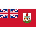 BERMUDAS