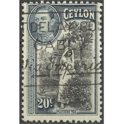 Ceylon Británica. 1938. 20 Cents. Plucking Tea