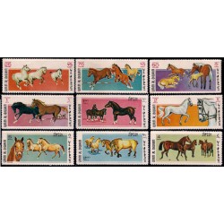Emiratos Árabes Unidos (Umm Al Qiwain). Serie Caballos (Nuevo)