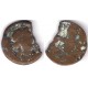 Sacili (Córdoba). 50 a.C. As (RC)