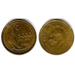 (1029.1) Turquía. 1996. 5000 Lira (EBC)