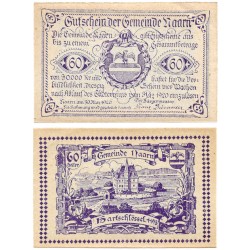 Naarn (Alta Austria). 1920. 60 Heller (SC)