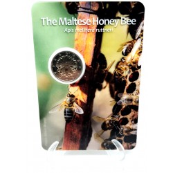 Malta. 2024. 2 Euro (SC) Abeja Maltesa