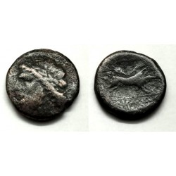 Arpi (Apulia). 325-275 d.c. Bronce 22mm (BC)