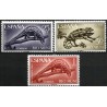 Río Muni. 1964. Serie Completa (Nuevo, con señal de fijasellos) Pro Infancia