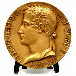 Medalla Conmemorativa de José Napoleón (SC) 50mm