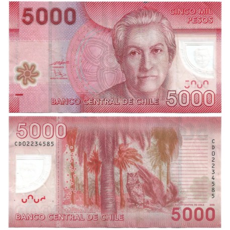 (163a) Chile. 2009. 5000 Pesos (MBC) Leve Mancha