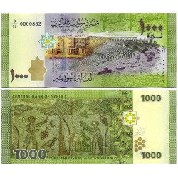(116) Síria. 2013. 1000 Pounds (SC)