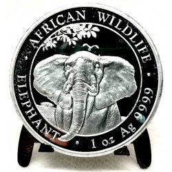 Somalia. 2021. 100 Shillings (Proof) (Plata) 31,10 gr. de .999 Milésimas