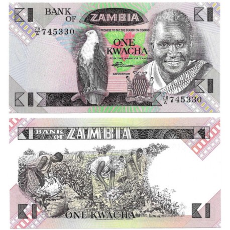 (23b) Zambia. 1980-88. 1 Kwacha (SC)