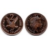 (131) Islas Malvinas. 2004. 2 Pence (SC)