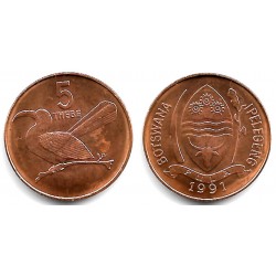 (4a.1) Botswana. 1991. 5 Thebe (SC)