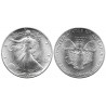 (273) Estados Unidos de América. 1987. 1 Dollar (SC) (Plata) 31,10 gr. de .999 Milésimas