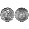 (273) Estados Unidos de América. 1988. 1 Dollar (SC) (Plata) 31,10 gr. de .999 Milésimas