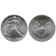 (273) Estados Unidos de América. 1989. 1 Dollar (SC) (Plata) 31,10 gr. de .999 Milésimas