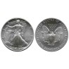 (273) Estados Unidos de América. 1989. 1 Dollar (SC) (Plata) 31,10 gr. de .999 Milésimas