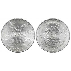 (494.1) Estados Unidos Mexicanos. 1989. 1 Onza (SC) (Plata) 31,10 gr. de .999 Milésimas