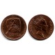 (50a) Islas Fiji. 1990. 2 Cents (EBC)